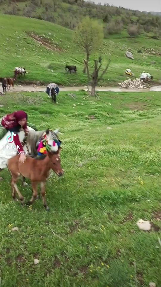 TikTok video thumbnail by elo.6579