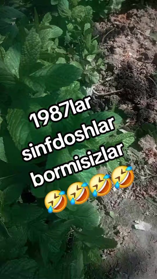 TikTok video thumbnail by namangan.uychi7