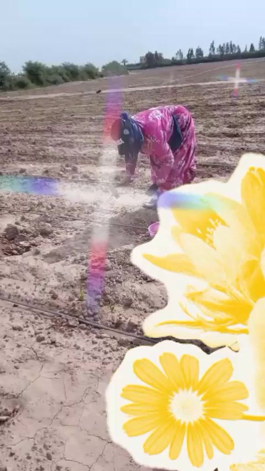 TikTok video thumbnail by tamazirt.99