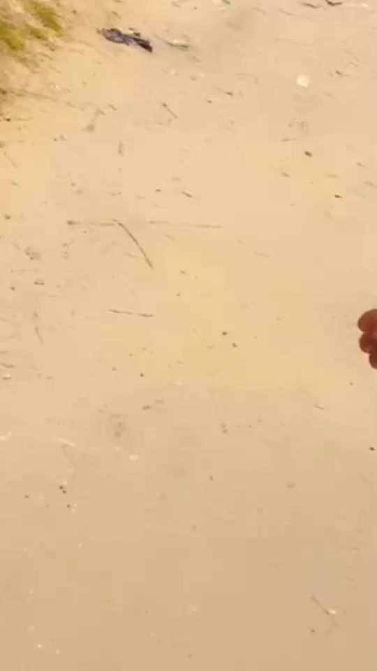 TikTok video thumbnail by benie9346