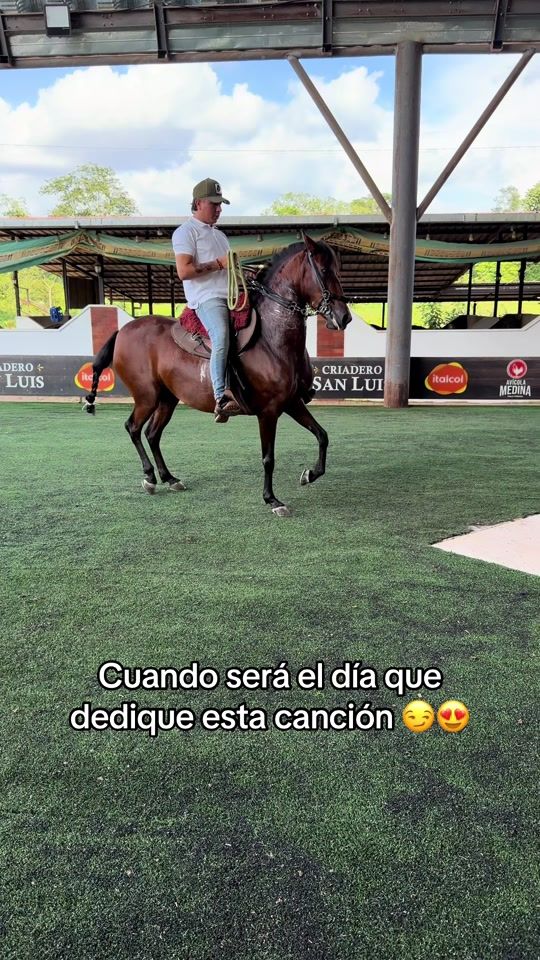 TikTok video thumbnail by st_caballos12