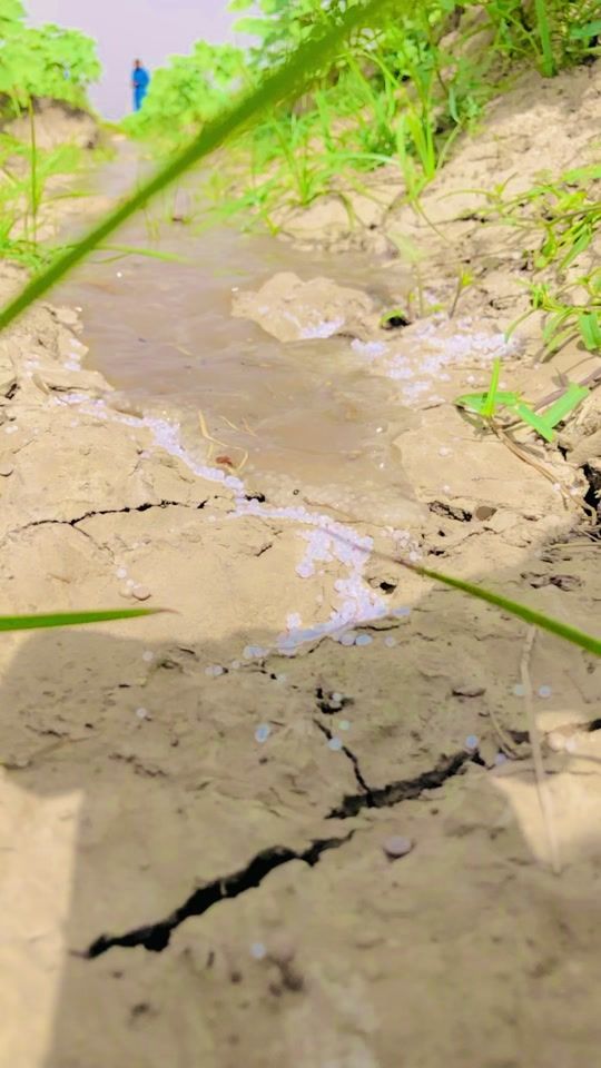 TikTok video thumbnail by farmer4680