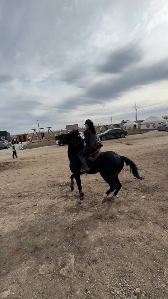 TikTok video thumbnail by lovehorse3