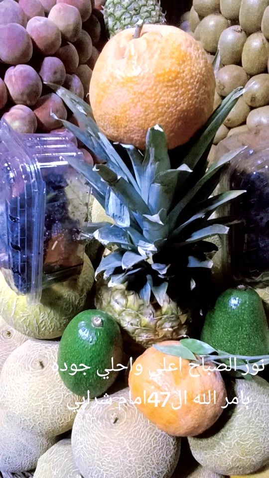 TikTok video thumbnail by omnour2007