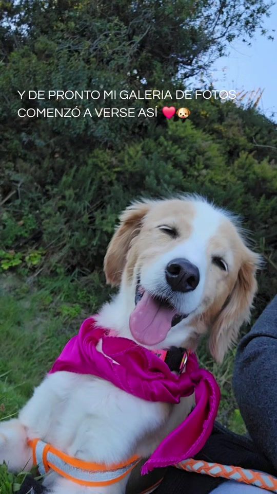 TikTok video thumbnail by josemanuel....29