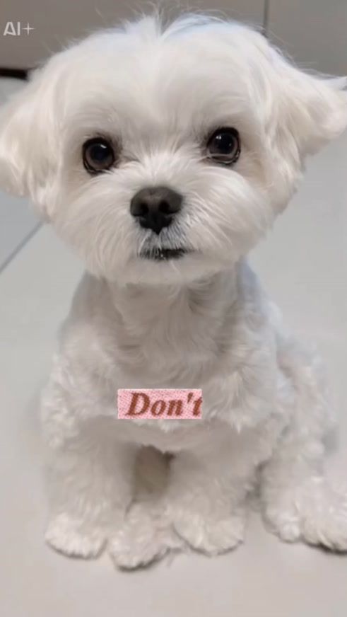 TikTok video thumbnail by reo_o614