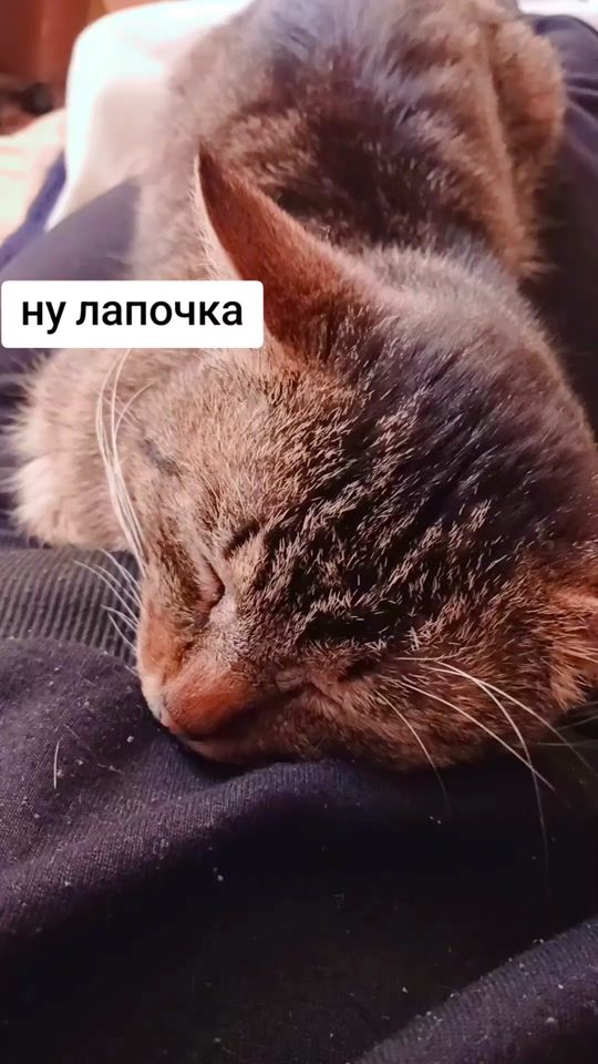 TikTok video thumbnail by vikasekond