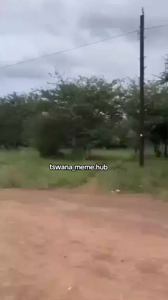 TikTok video thumbnail by tswana_meme.hub