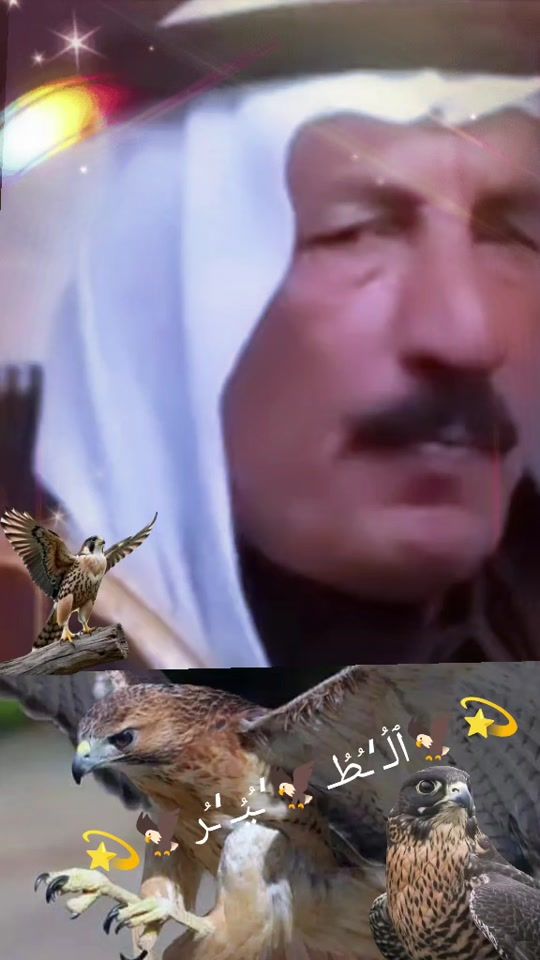 TikTok video thumbnail by abu_amar79