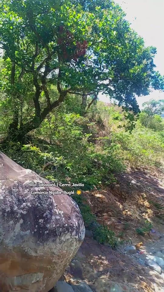 TikTok video thumbnail by carrera_ruben