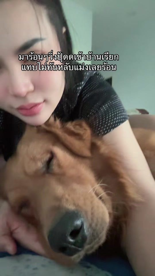TikTok video thumbnail by aoingaey55