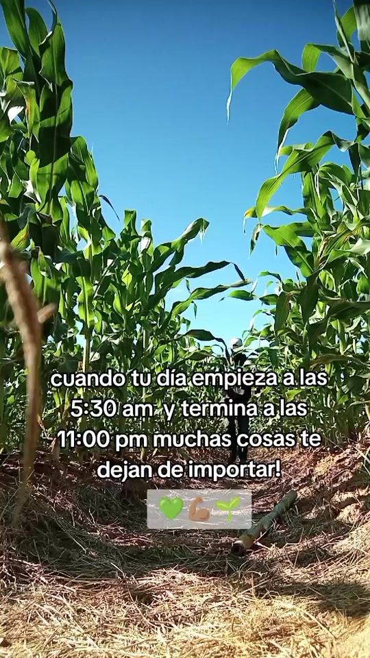 TikTok video thumbnail by el.alexander64