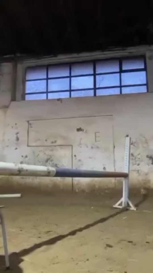 TikTok video thumbnail by s.petkoviccc