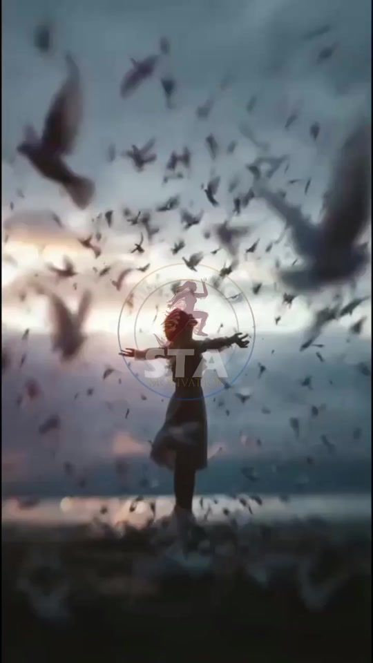 TikTok video thumbnail by stadanse