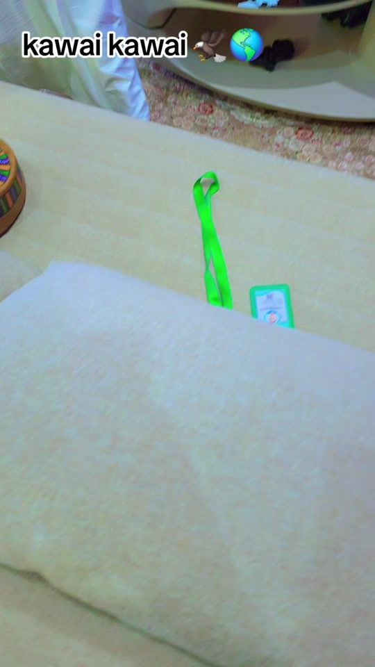 TikTok video thumbnail by official_yaron_fulanee