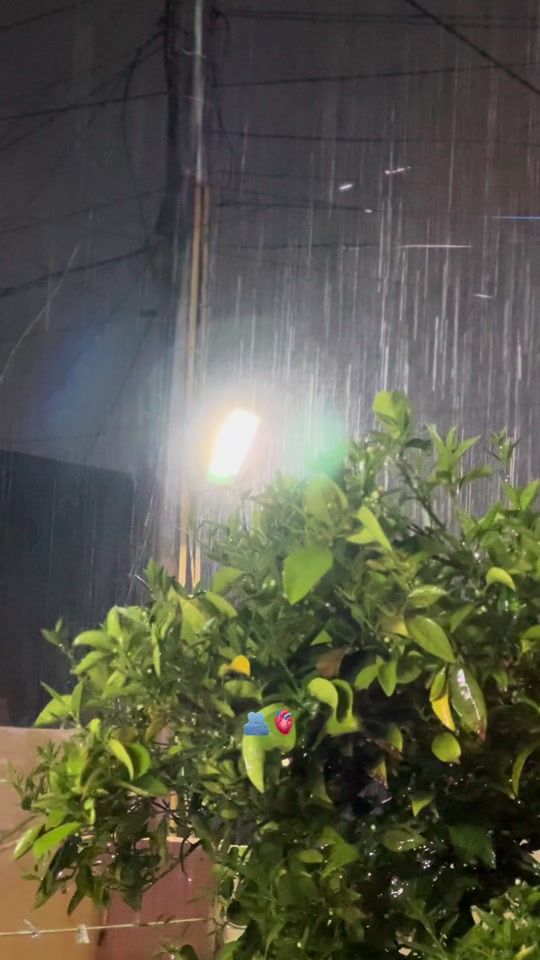 TikTok video thumbnail by 9se67
