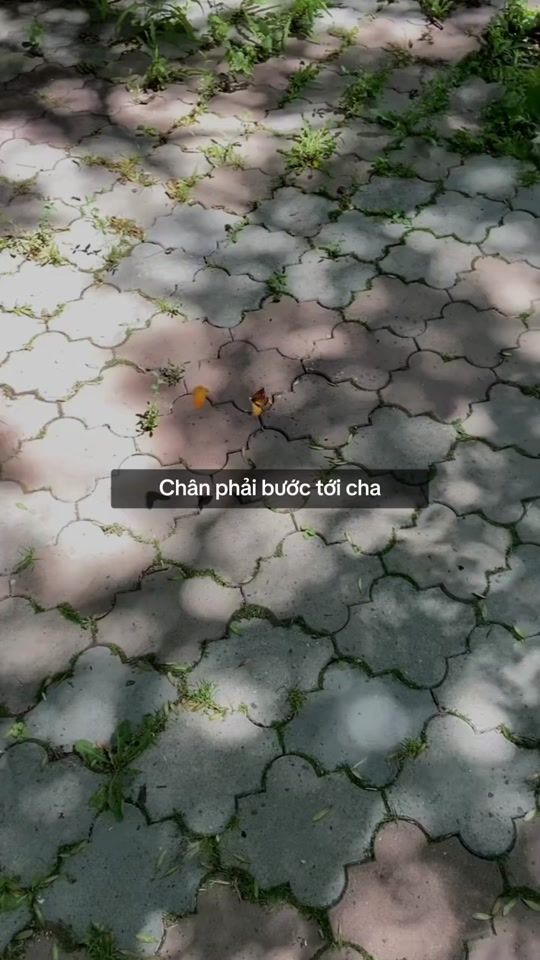 TikTok video thumbnail by lathienvu