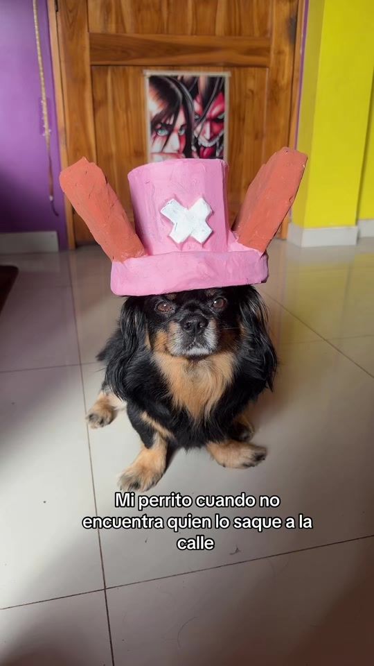 TikTok video thumbnail by luispulgarin1