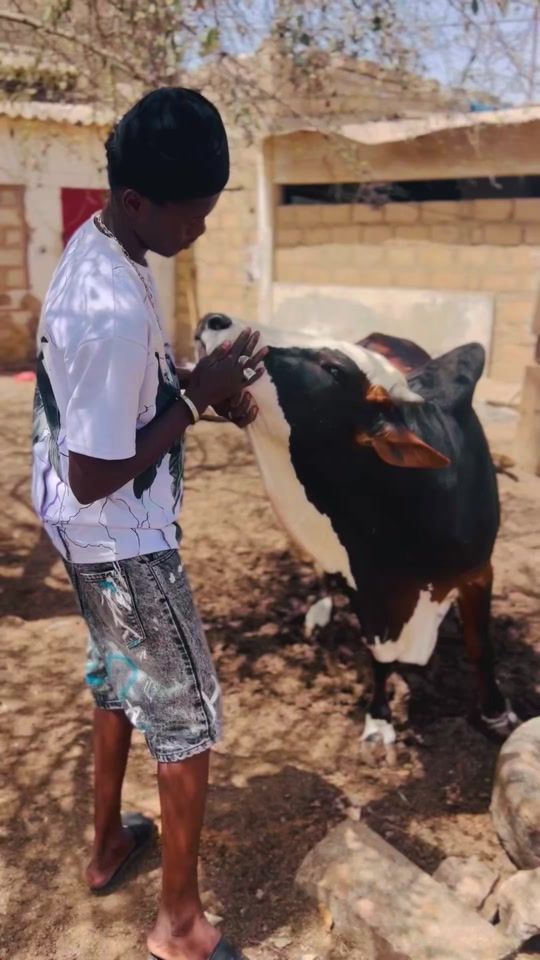 TikTok video thumbnail by cheikhcisse95