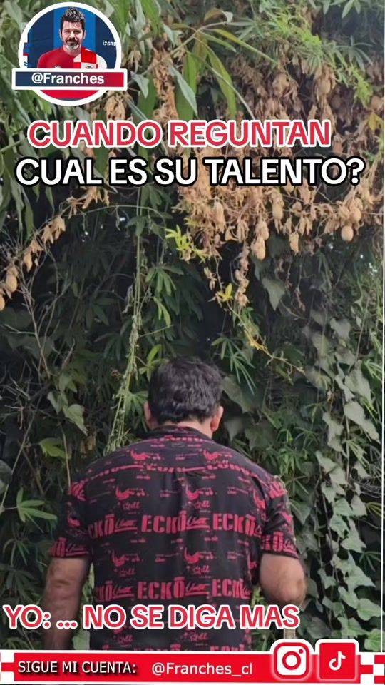 TikTok video thumbnail by franches_cl