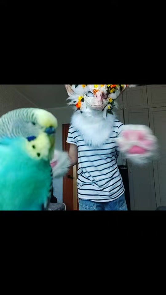 TikTok video thumbnail by _lunochek_
