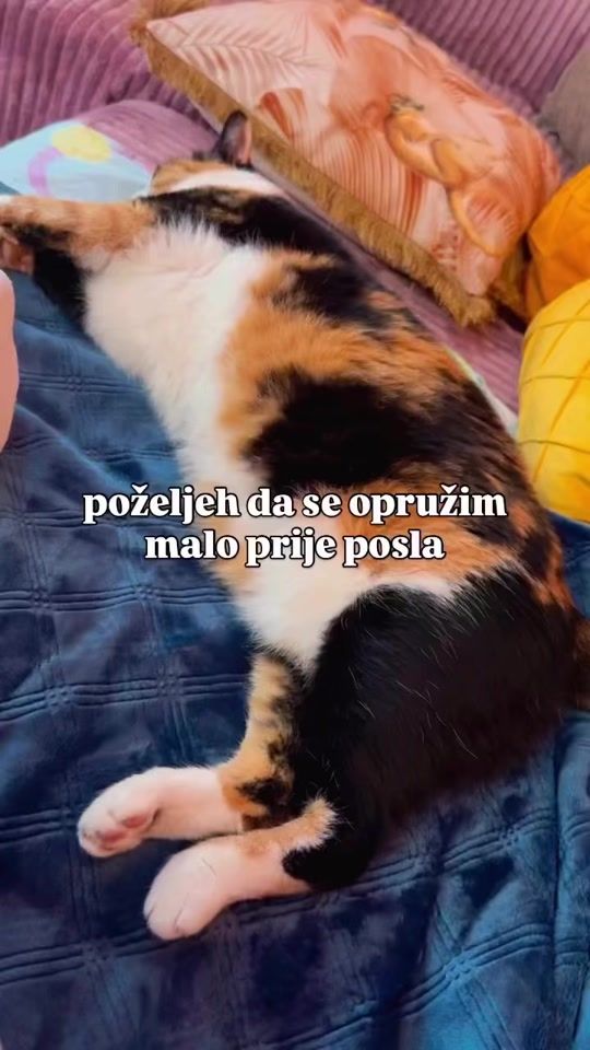 TikTok video thumbnail by mother.of.hunter