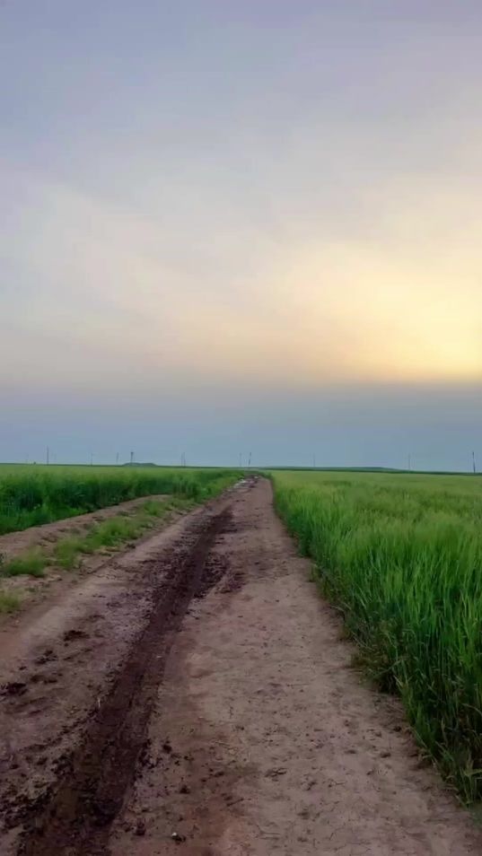 TikTok video thumbnail by fawa_z5