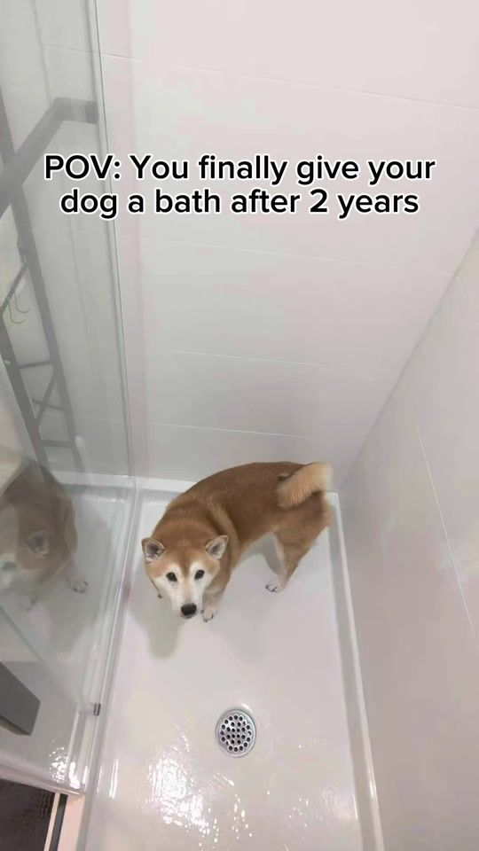 TikTok video thumbnail by yeedasu