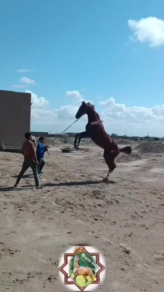 TikTok video thumbnail by s.a.w134