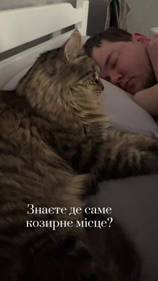 TikTok video thumbnail by semakris