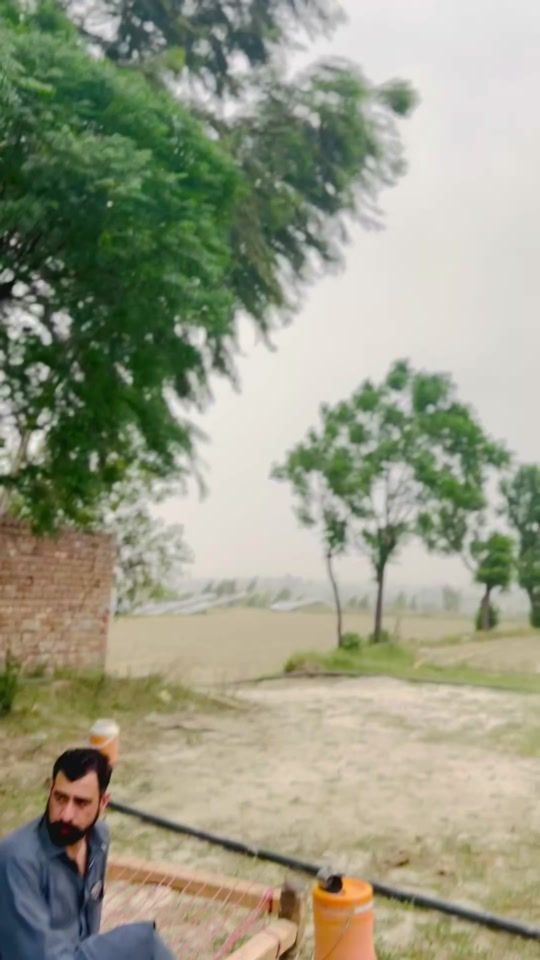 TikTok video thumbnail by seedtahirshabacha