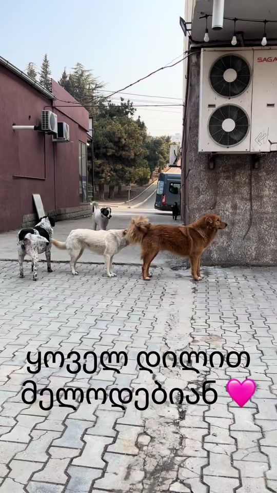 TikTok video thumbnail by irmasha25