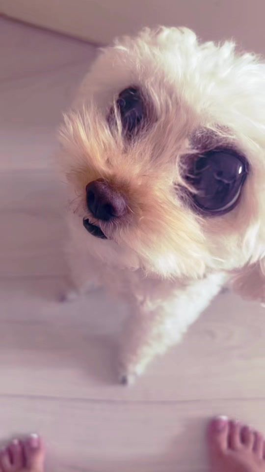 TikTok video thumbnail by n.sotirovska