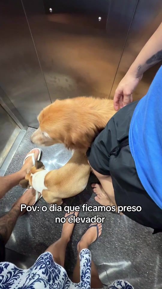 TikTok video thumbnail by danii_limaoficial