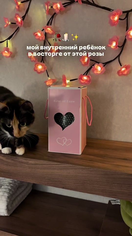 TikTok video thumbnail by pollyss4