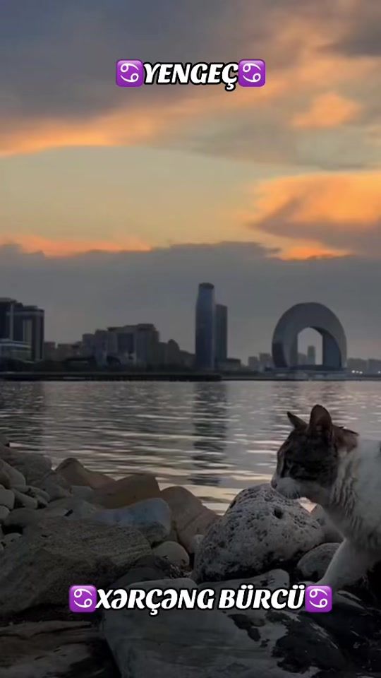 TikTok video thumbnail by xercengburcu2