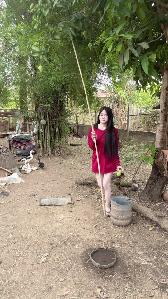 TikTok video thumbnail by joyjoy2988