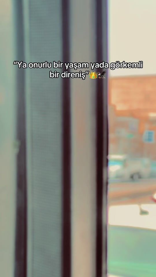 TikTok video thumbnail by xq.serhat34