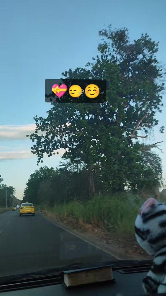 TikTok video thumbnail by __mily30