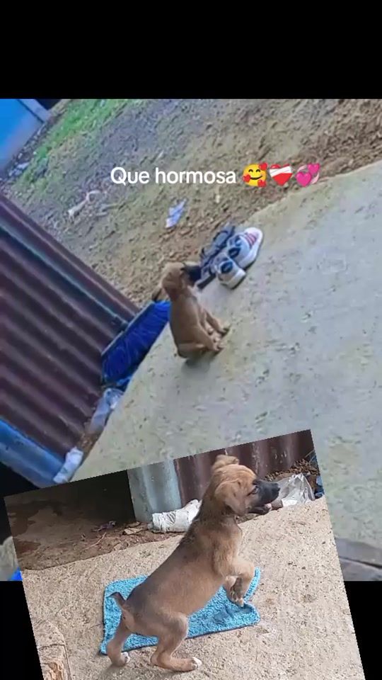 TikTok video thumbnail by .santo.21