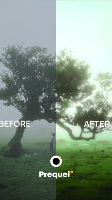 TikTok video thumbnail by prequelapp