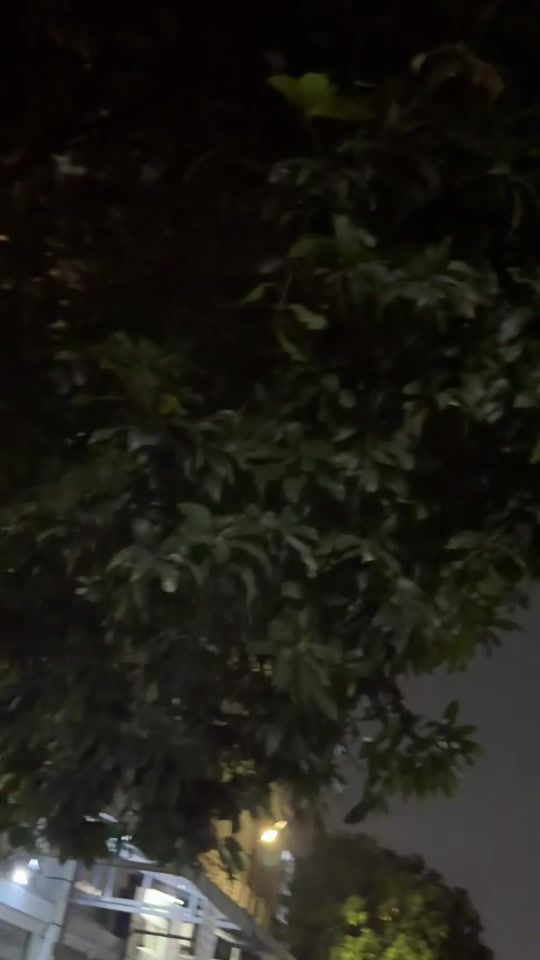 TikTok video thumbnail by u_vanno168