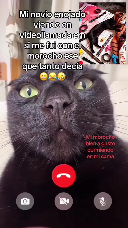 TikTok video thumbnail by abril666_