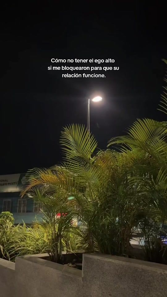 TikTok video thumbnail by leonar2001