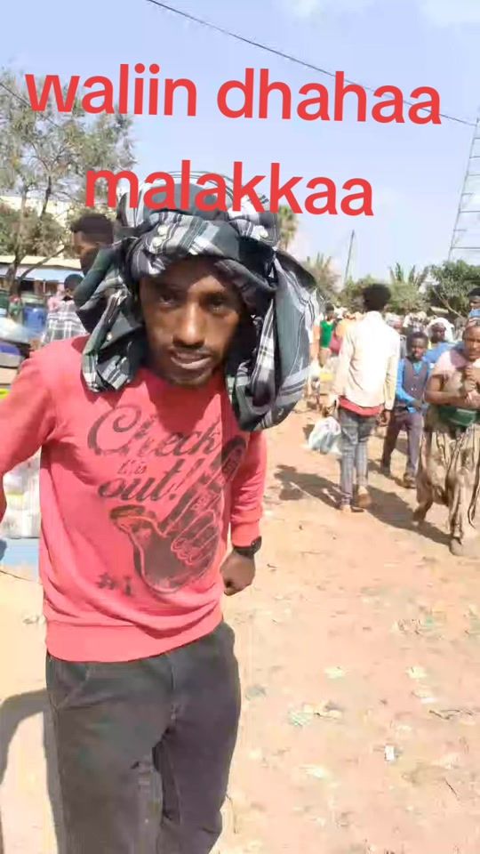 TikTok video thumbnail by mulgeetaa
