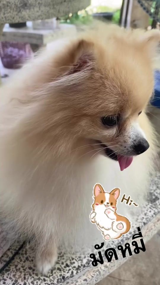TikTok video thumbnail by jo_4452136