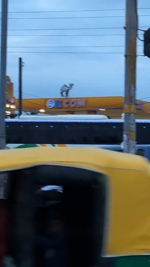 TikTok video thumbnail by david.one17