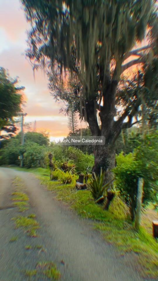 TikTok video thumbnail by lenzya_kh