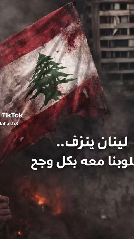 TikTok video thumbnail by aliarkein1