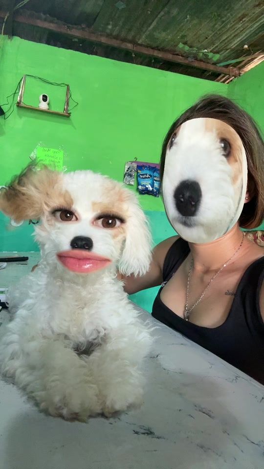 TikTok video thumbnail by andylamasviral